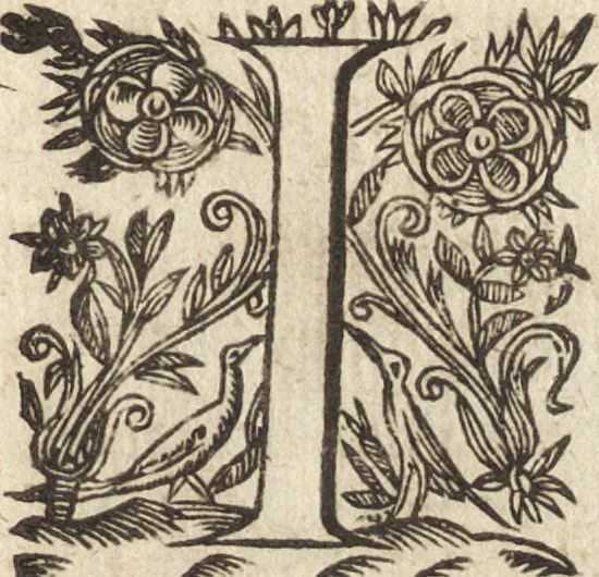 An illustration from Le commentaire royal, ou, L'histoire des Yncas, roys du Peru : contenant leur origine, depuis le premier Ynca Manco Capac, leur establissement, leur idolatrie, leurs sacrifices, leurs vies, leurs loix, leur gouuernement en paix & en guerre ... : ensemble vne descriptton particuliere des animaux, des fruicts, des mineraux, des plantes, & des singularitez du païs : oeuure curieuse, & tout à faict necessaire à l'intelligence de l'Histoire des Indes, 1633, leaf 20