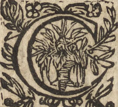 An illustration from Le commentaire royal, ou, L'histoire des Yncas, roys du Peru : contenant leur origine, depuis le premier Ynca Manco Capac, leur establissement, leur idolatrie, leurs sacrifices, leurs vies, leurs loix, leur gouuernement en paix & en guerre ... : ensemble vne descriptton particuliere des animaux, des fruicts, des mineraux, des plantes, & des singularitez du païs : oeuure curieuse, & tout à faict necessaire à l'intelligence de l'Histoire des Indes, 1633, leaf 205