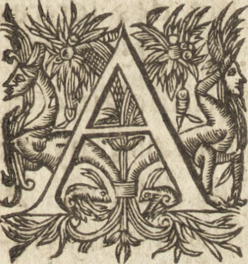 An illustration from Le commentaire royal, ou, L'histoire des Yncas, roys du Peru : contenant leur origine, depuis le premier Ynca Manco Capac, leur establissement, leur idolatrie, leurs sacrifices, leurs vies, leurs loix, leur gouuernement en paix & en guerre ... : ensemble vne descriptton particuliere des animaux, des fruicts, des mineraux, des plantes, & des singularitez du païs : oeuure curieuse, & tout à faict necessaire à l'intelligence de l'Histoire des Indes, 1633, leaf 22