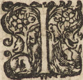 An illustration from Le commentaire royal, ou, L'histoire des Yncas, roys du Peru : contenant leur origine, depuis le premier Ynca Manco Capac, leur establissement, leur idolatrie, leurs sacrifices, leurs vies, leurs loix, leur gouuernement en paix & en guerre ... : ensemble vne descriptton particuliere des animaux, des fruicts, des mineraux, des plantes, & des singularitez du païs : oeuure curieuse, & tout à faict necessaire à l'intelligence de l'Histoire des Indes, 1633, leaf 256