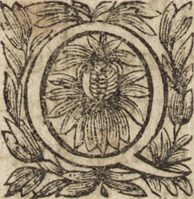 An illustration from Le commentaire royal, ou, L'histoire des Yncas, roys du Peru : contenant leur origine, depuis le premier Ynca Manco Capac, leur establissement, leur idolatrie, leurs sacrifices, leurs vies, leurs loix, leur gouuernement en paix & en guerre ... : ensemble vne descriptton particuliere des animaux, des fruicts, des mineraux, des plantes, & des singularitez du païs : oeuure curieuse, & tout à faict necessaire à l'intelligence de l'Histoire des Indes, 1633, leaf 274