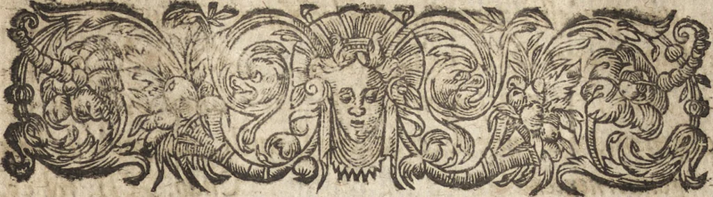 An illustration from Le commentaire royal, ou, L'histoire des Yncas, roys du Peru : contenant leur origine, depuis le premier Ynca Manco Capac, leur establissement, leur idolatrie, leurs sacrifices, leurs vies, leurs loix, leur gouuernement en paix & en guerre ... : ensemble vne descriptton particuliere des animaux, des fruicts, des mineraux, des plantes, & des singularitez du païs : oeuure curieuse, & tout à faict necessaire à l'intelligence de l'Histoire des Indes, 1633, leaf 28