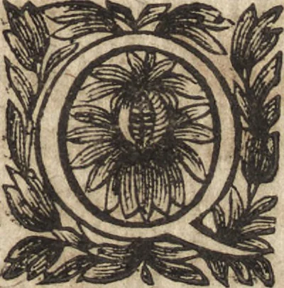 An illustration from Le commentaire royal, ou, L'histoire des Yncas, roys du Peru : contenant leur origine, depuis le premier Ynca Manco Capac, leur establissement, leur idolatrie, leurs sacrifices, leurs vies, leurs loix, leur gouuernement en paix & en guerre ... : ensemble vne descriptton particuliere des animaux, des fruicts, des mineraux, des plantes, & des singularitez du païs : oeuure curieuse, & tout à faict necessaire à l'intelligence de l'Histoire des Indes, 1633, leaf 290