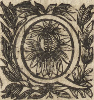 An illustration from Le commentaire royal, ou, L'histoire des Yncas, roys du Peru : contenant leur origine, depuis le premier Ynca Manco Capac, leur establissement, leur idolatrie, leurs sacrifices, leurs vies, leurs loix, leur gouuernement en paix & en guerre ... : ensemble vne descriptton particuliere des animaux, des fruicts, des mineraux, des plantes, & des singularitez du païs : oeuure curieuse, & tout à faict necessaire à l'intelligence de l'Histoire des Indes, 1633, leaf 353