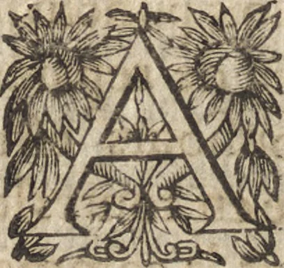 An illustration from Le commentaire royal, ou, L'histoire des Yncas, roys du Peru : contenant leur origine, depuis le premier Ynca Manco Capac, leur establissement, leur idolatrie, leurs sacrifices, leurs vies, leurs loix, leur gouuernement en paix & en guerre ... : ensemble vne descriptton particuliere des animaux, des fruicts, des mineraux, des plantes, & des singularitez du païs : oeuure curieuse, & tout à faict necessaire à l'intelligence de l'Histoire des Indes, 1633, leaf 369