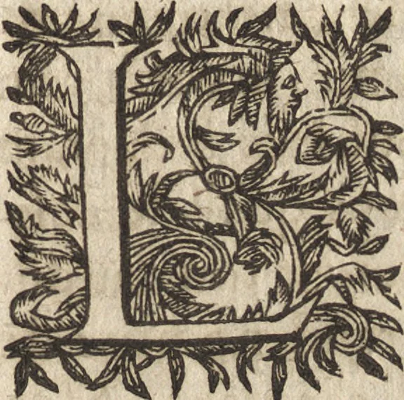 An illustration from Le commentaire royal, ou, L'histoire des Yncas, roys du Peru : contenant leur origine, depuis le premier Ynca Manco Capac, leur establissement, leur idolatrie, leurs sacrifices, leurs vies, leurs loix, leur gouuernement en paix & en guerre ... : ensemble vne descriptton particuliere des animaux, des fruicts, des mineraux, des plantes, & des singularitez du païs : oeuure curieuse, & tout à faict necessaire à l'intelligence de l'Histoire des Indes, 1633, leaf 384