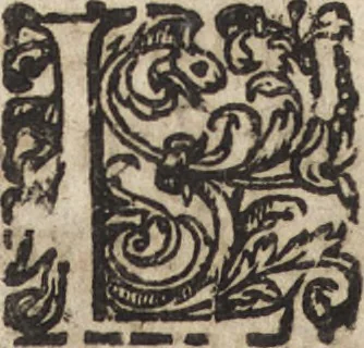 An illustration from Le commentaire royal, ou, L'histoire des Yncas, roys du Peru : contenant leur origine, depuis le premier Ynca Manco Capac, leur establissement, leur idolatrie, leurs sacrifices, leurs vies, leurs loix, leur gouuernement en paix & en guerre ... : ensemble vne descriptton particuliere des animaux, des fruicts, des mineraux, des plantes, & des singularitez du païs : oeuure curieuse, & tout à faict necessaire à l'intelligence de l'Histoire des Indes, 1633, leaf 427