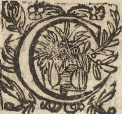 An illustration from Le commentaire royal, ou, L'histoire des Yncas, roys du Peru : contenant leur origine, depuis le premier Ynca Manco Capac, leur establissement, leur idolatrie, leurs sacrifices, leurs vies, leurs loix, leur gouuernement en paix & en guerre ... : ensemble vne descriptton particuliere des animaux, des fruicts, des mineraux, des plantes, & des singularitez du païs : oeuure curieuse, & tout à faict necessaire à l'intelligence de l'Histoire des Indes, 1633, leaf 460