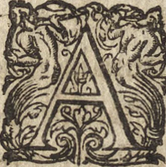 An illustration from Le commentaire royal, ou, L'histoire des Yncas, roys du Peru : contenant leur origine, depuis le premier Ynca Manco Capac, leur establissement, leur idolatrie, leurs sacrifices, leurs vies, leurs loix, leur gouuernement en paix & en guerre ... : ensemble vne descriptton particuliere des animaux, des fruicts, des mineraux, des plantes, & des singularitez du païs : oeuure curieuse, & tout à faict necessaire à l'intelligence de l'Histoire des Indes, 1633, leaf 477