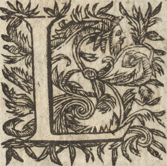 An illustration from Le commentaire royal, ou, L'histoire des Yncas, roys du Peru : contenant leur origine, depuis le premier Ynca Manco Capac, leur establissement, leur idolatrie, leurs sacrifices, leurs vies, leurs loix, leur gouuernement en paix & en guerre ... : ensemble vne descriptton particuliere des animaux, des fruicts, des mineraux, des plantes, & des singularitez du païs : oeuure curieuse, & tout à faict necessaire à l'intelligence de l'Histoire des Indes, 1633, leaf 49