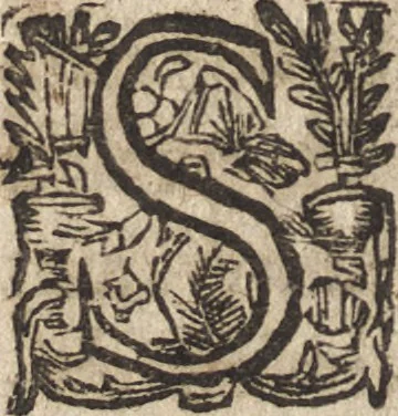 An illustration from Le commentaire royal, ou, L'histoire des Yncas, roys du Peru : contenant leur origine, depuis le premier Ynca Manco Capac, leur establissement, leur idolatrie, leurs sacrifices, leurs vies, leurs loix, leur gouuernement en paix & en guerre ... : ensemble vne descriptton particuliere des animaux, des fruicts, des mineraux, des plantes, & des singularitez du païs : oeuure curieuse, & tout à faict necessaire à l'intelligence de l'Histoire des Indes, 1633, leaf 501