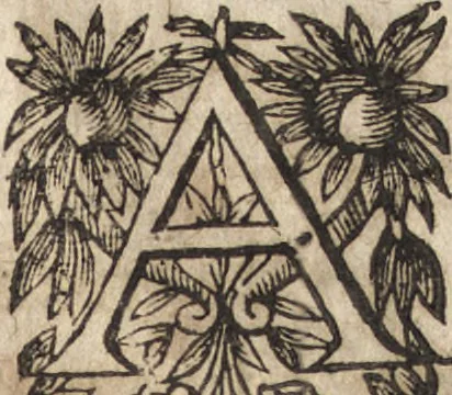 An illustration from Le commentaire royal, ou, L'histoire des Yncas, roys du Peru : contenant leur origine, depuis le premier Ynca Manco Capac, leur establissement, leur idolatrie, leurs sacrifices, leurs vies, leurs loix, leur gouuernement en paix & en guerre ... : ensemble vne descriptton particuliere des animaux, des fruicts, des mineraux, des plantes, & des singularitez du païs : oeuure curieuse, & tout à faict necessaire à l'intelligence de l'Histoire des Indes, 1633, leaf 52