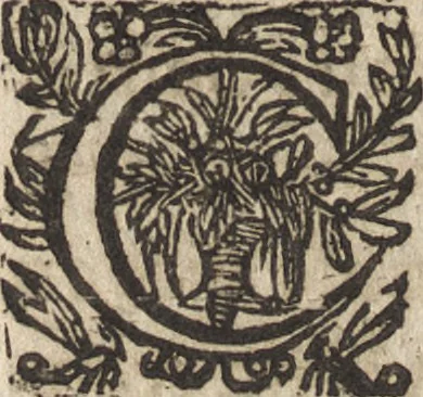 An illustration from Le commentaire royal, ou, L'histoire des Yncas, roys du Peru : contenant leur origine, depuis le premier Ynca Manco Capac, leur establissement, leur idolatrie, leurs sacrifices, leurs vies, leurs loix, leur gouuernement en paix & en guerre ... : ensemble vne descriptton particuliere des animaux, des fruicts, des mineraux, des plantes, & des singularitez du païs : oeuure curieuse, & tout à faict necessaire à l'intelligence de l'Histoire des Indes, 1633, leaf 525