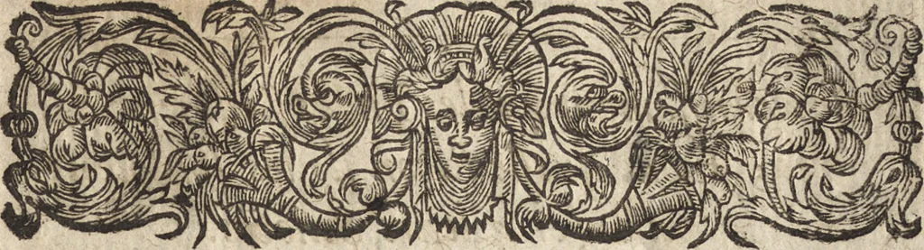 An illustration from Le commentaire royal, ou, L'histoire des Yncas, roys du Peru : contenant leur origine, depuis le premier Ynca Manco Capac, leur establissement, leur idolatrie, leurs sacrifices, leurs vies, leurs loix, leur gouuernement en paix & en guerre ... : ensemble vne descriptton particuliere des animaux, des fruicts, des mineraux, des plantes, & des singularitez du païs : oeuure curieuse, & tout à faict necessaire à l'intelligence de l'Histoire des Indes, 1633, leaf 548