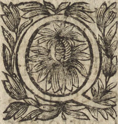 An illustration from Le commentaire royal, ou, L'histoire des Yncas, roys du Peru : contenant leur origine, depuis le premier Ynca Manco Capac, leur establissement, leur idolatrie, leurs sacrifices, leurs vies, leurs loix, leur gouuernement en paix & en guerre ... : ensemble vne descriptton particuliere des animaux, des fruicts, des mineraux, des plantes, & des singularitez du païs : oeuure curieuse, & tout à faict necessaire à l'intelligence de l'Histoire des Indes, 1633, leaf 553