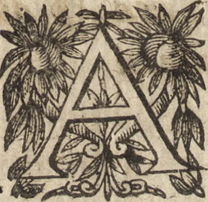 An illustration from Le commentaire royal, ou, L'histoire des Yncas, roys du Peru : contenant leur origine, depuis le premier Ynca Manco Capac, leur establissement, leur idolatrie, leurs sacrifices, leurs vies, leurs loix, leur gouuernement en paix & en guerre ... : ensemble vne descriptton particuliere des animaux, des fruicts, des mineraux, des plantes, & des singularitez du païs : oeuure curieuse, & tout à faict necessaire à l'intelligence de l'Histoire des Indes, 1633, leaf 564