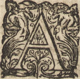 An illustration from Le commentaire royal, ou, L'histoire des Yncas, roys du Peru : contenant leur origine, depuis le premier Ynca Manco Capac, leur establissement, leur idolatrie, leurs sacrifices, leurs vies, leurs loix, leur gouuernement en paix & en guerre ... : ensemble vne descriptton particuliere des animaux, des fruicts, des mineraux, des plantes, & des singularitez du païs : oeuure curieuse, & tout à faict necessaire à l'intelligence de l'Histoire des Indes, 1633, leaf 565