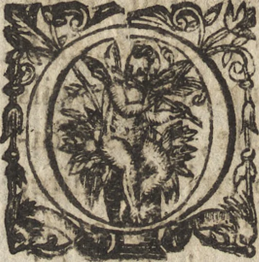 An illustration from Le commentaire royal, ou, L'histoire des Yncas, roys du Peru : contenant leur origine, depuis le premier Ynca Manco Capac, leur establissement, leur idolatrie, leurs sacrifices, leurs vies, leurs loix, leur gouuernement en paix & en guerre ... : ensemble vne descriptton particuliere des animaux, des fruicts, des mineraux, des plantes, & des singularitez du païs : oeuure curieuse, & tout à faict necessaire à l'intelligence de l'Histoire des Indes, 1633, leaf 569