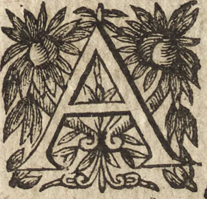 An illustration from Le commentaire royal, ou, L'histoire des Yncas, roys du Peru : contenant leur origine, depuis le premier Ynca Manco Capac, leur establissement, leur idolatrie, leurs sacrifices, leurs vies, leurs loix, leur gouuernement en paix & en guerre ... : ensemble vne descriptton particuliere des animaux, des fruicts, des mineraux, des plantes, & des singularitez du païs : oeuure curieuse, & tout à faict necessaire à l'intelligence de l'Histoire des Indes, 1633, leaf 610