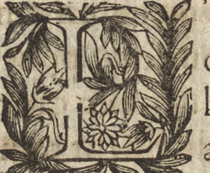 An illustration from Le commentaire royal, ou, L'histoire des Yncas, roys du Peru : contenant leur origine, depuis le premier Ynca Manco Capac, leur establissement, leur idolatrie, leurs sacrifices, leurs vies, leurs loix, leur gouuernement en paix & en guerre ... : ensemble vne descriptton particuliere des animaux, des fruicts, des mineraux, des plantes, & des singularitez du païs : oeuure curieuse, & tout à faict necessaire à l'intelligence de l'Histoire des Indes, 1633, leaf 629