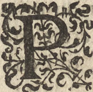 An illustration from Le commentaire royal, ou, L'histoire des Yncas, roys du Peru : contenant leur origine, depuis le premier Ynca Manco Capac, leur establissement, leur idolatrie, leurs sacrifices, leurs vies, leurs loix, leur gouuernement en paix & en guerre ... : ensemble vne descriptton particuliere des animaux, des fruicts, des mineraux, des plantes, & des singularitez du païs : oeuure curieuse, & tout à faict necessaire à l'intelligence de l'Histoire des Indes, 1633, leaf 647
