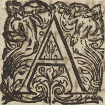An illustration from Le commentaire royal, ou, L'histoire des Yncas, roys du Peru : contenant leur origine, depuis le premier Ynca Manco Capac, leur establissement, leur idolatrie, leurs sacrifices, leurs vies, leurs loix, leur gouuernement en paix & en guerre ... : ensemble vne descriptton particuliere des animaux, des fruicts, des mineraux, des plantes, & des singularitez du païs : oeuure curieuse, & tout à faict necessaire à l'intelligence de l'Histoire des Indes, 1633, leaf 653