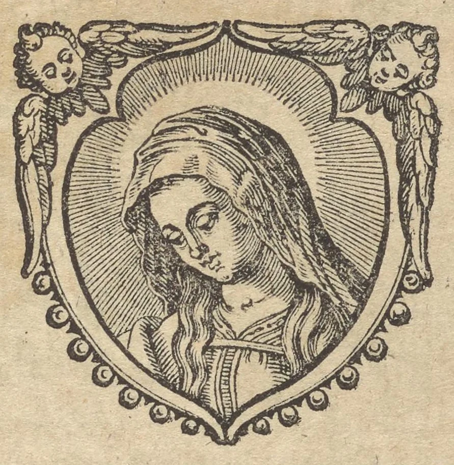 An illustration from Orbis Phaëthon, hoc est, De universis vitiis linguae, 1631, leaf 418