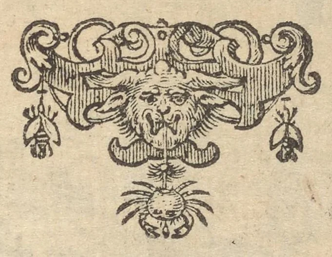 An illustration from Orbis Phaëthon, hoc est, De universis vitiis linguae, 1631, leaf 614