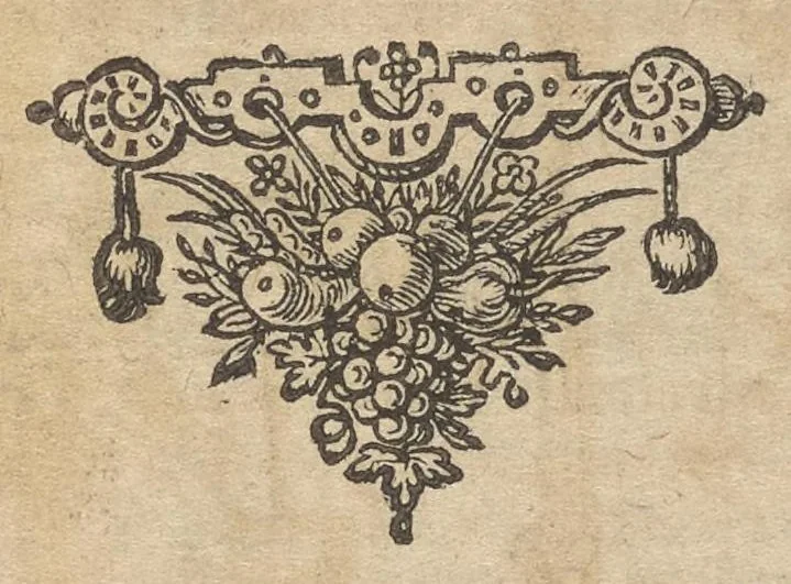 An illustration from Orbis Phaëthon, hoc est, De universis vitiis linguae, 1631, leaf 750