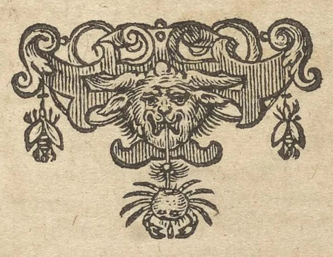 An illustration from Orbis Phaëthon, hoc est, De universis vitiis linguae, 1631, leaf 784