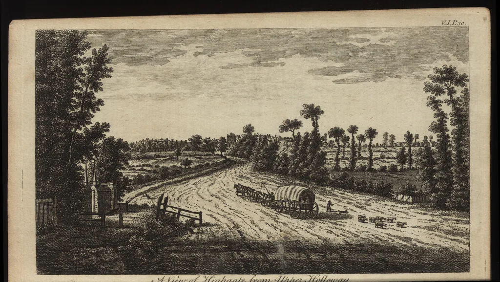 An illustration from A new display of the beauties of England, or, A description of the most elegant or magnificent public edifices, royal palaces, noblemen's and gentlemen's seats, and other curiosities, natural or artificial, in different parts of the kingdom : adorned with a variety of copper plate cuts, neatly engraved, 1776, leaf 72
