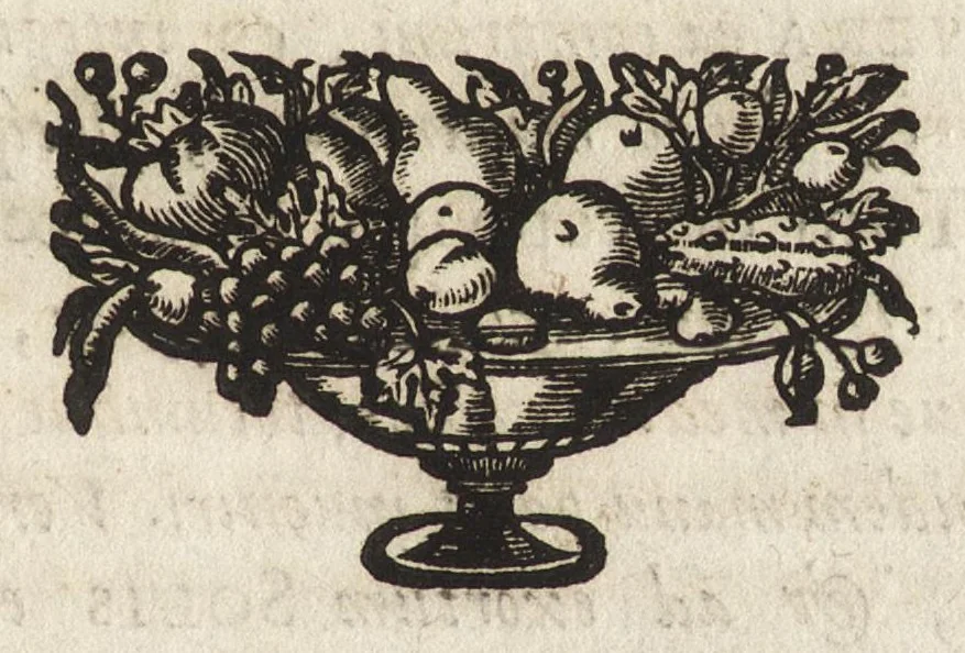 An illustration from Ioannis Macarii canonici ariensis Abraxas, seu, Apistopistus : quae est antiquaria de gemmis basilidianis disquisitio : accedit Abraxas proteus, seu multiformis gemmae basilidianae portentosa varietas, 1657, leaf 126