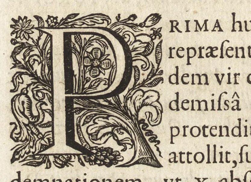 An illustration from Ioannis Macarii canonici ariensis Abraxas, seu, Apistopistus : quae est antiquaria de gemmis basilidianis disquisitio : accedit Abraxas proteus, seu multiformis gemmae basilidianae portentosa varietas, 1657, leaf 131