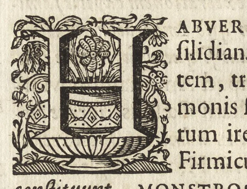 An illustration from Ioannis Macarii canonici ariensis Abraxas, seu, Apistopistus : quae est antiquaria de gemmis basilidianis disquisitio : accedit Abraxas proteus, seu multiformis gemmae basilidianae portentosa varietas, 1657, leaf 149