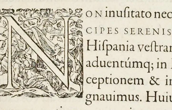 An illustration from Historica narratio profectionis et inavgvrationis serenissimorvm Belgii principvm Alberti et Isabellæ, Avstriæ archidvcvm : et eorum optatissimi in Belgium aduentus, rerumque gestarum et memorabilium, gratulationum, apparatuum, et spectaculorum in ipsorum susceptione et inavgvratione hactenus editorum accurata descriptio, 1602, leaf 10