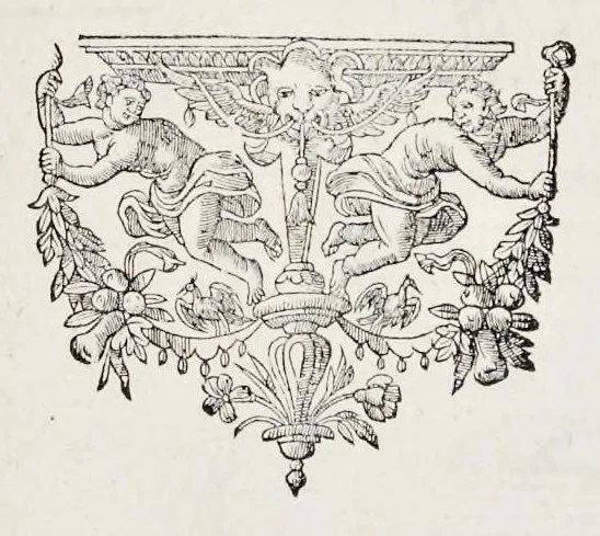 An illustration from Historica narratio profectionis et inavgvrationis serenissimorvm Belgii principvm Alberti et Isabellæ, Avstriæ archidvcvm : et eorum optatissimi in Belgium aduentus, rerumque gestarum et memorabilium, gratulationum, apparatuum, et spectaculorum in ipsorum susceptione et inavgvratione hactenus editorum accurata descriptio, 1602, leaf 180
