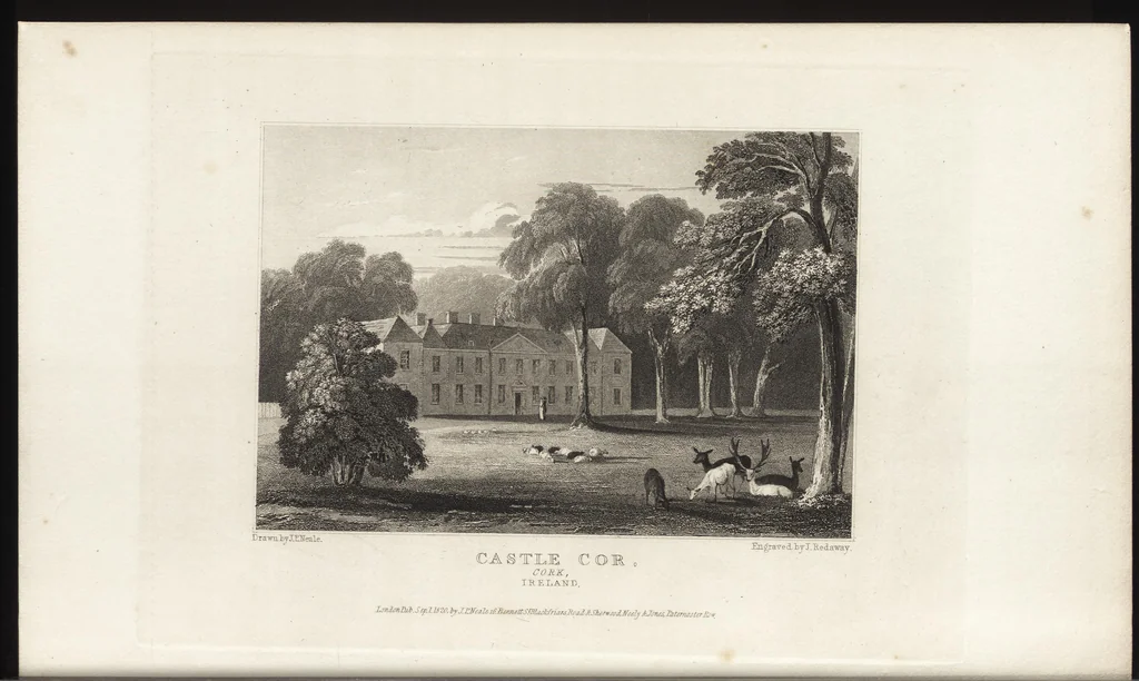 An illustration from Views of the seats of noblemen and gentlemen, in England, Wales, Scotland, and Ireland, 1820, leaf 271