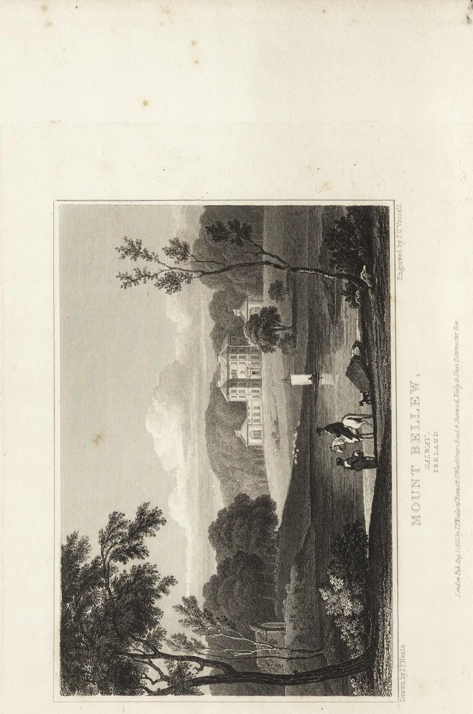 An illustration from Views of the seats of noblemen and gentlemen, in England, Wales, Scotland, and Ireland, 1820, leaf 285
