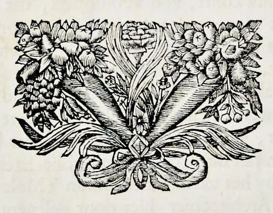 An illustration from Architectura mechanica : moole boek of eenige opstalle van moolens neffens haare gronden etc., 1692, leaf 7