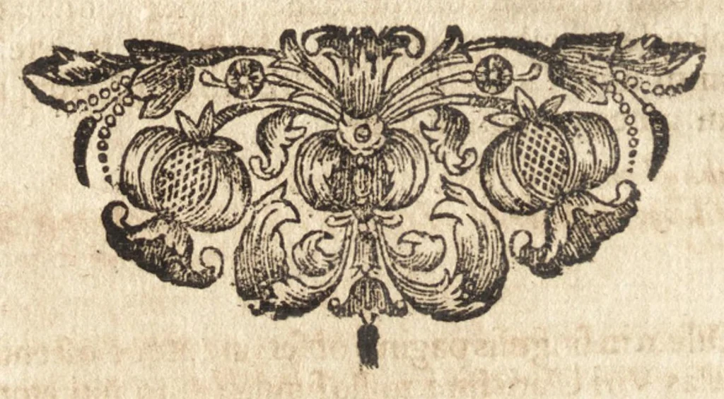 An illustration from Christiani Thomasii, JCti, Consil. Elect. Brandenb. in Univers. Frideric. P.P. & dictae univers. ac facult. ibid. juridicae senioris Institutionum jurisprudentiae divinae libri tres : in quibus fundamenta juris naturalis secundum hypotheses illustris Pufendorffii perspicuè demonstrantur, & ab objectionibus dissentientium, potissimum D. Valentini Alberti, professoris Lipsiensis, liberantur, fundamenta itidem juris divini positivi universalis primùm à jure naturali distinctè secernuntur & explicantur .., 1694, leaf 511