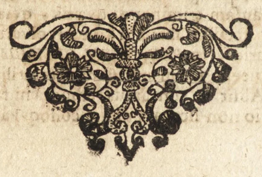 An illustration from Christiani Thomasii, JCti, Consil. Elect. Brandenb. in Univers. Frideric. P.P. & dictae univers. ac facult. ibid. juridicae senioris Institutionum jurisprudentiae divinae libri tres : in quibus fundamenta juris naturalis secundum hypotheses illustris Pufendorffii perspicuè demonstrantur, & ab objectionibus dissentientium, potissimum D. Valentini Alberti, professoris Lipsiensis, liberantur, fundamenta itidem juris divini positivi universalis primùm à jure naturali distinctè secernuntur & explicantur .., 1694, leaf 805