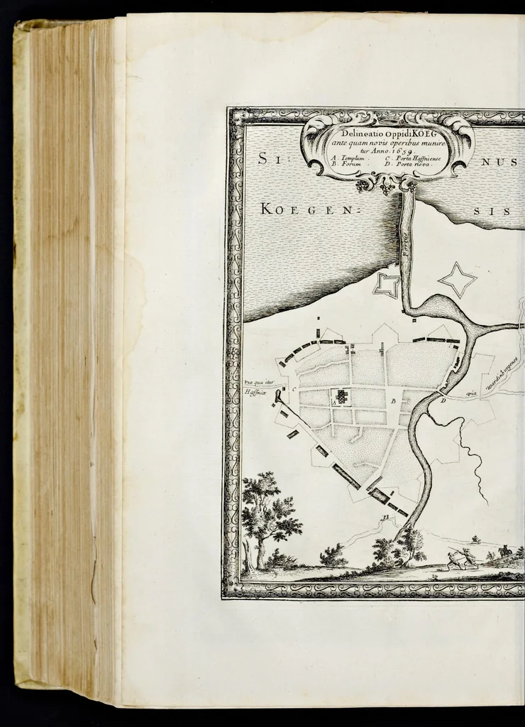 An illustration from Samuelis liberi baronis de Pufendorf De rebus a Carolo Gustavo Sveciae rege gestis commentariorum libri septem : elegantissimis tabulis aeneis exornati, cum triplici indice, 1696, leaf 1011