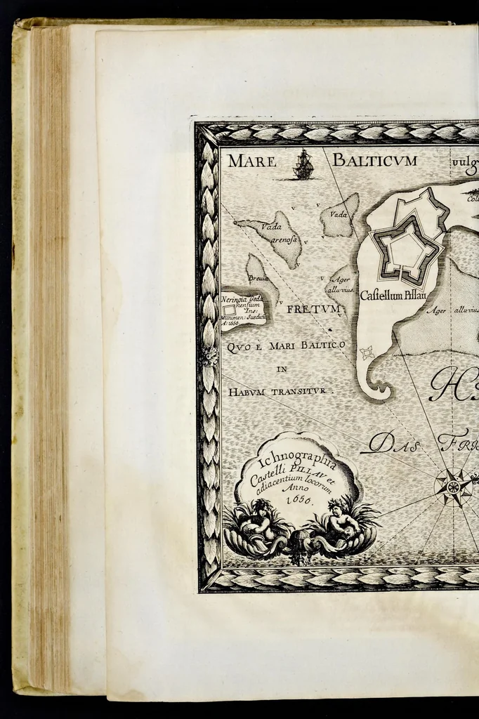 An illustration from Samuelis liberi baronis de Pufendorf De rebus a Carolo Gustavo Sveciae rege gestis commentariorum libri septem : elegantissimis tabulis aeneis exornati, cum triplici indice, 1696, leaf 313