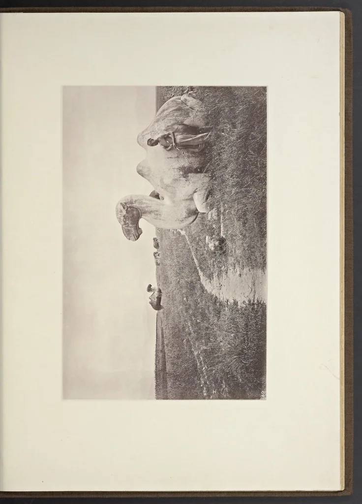 An illustration from Illustrations of China and its people : a series of two hundred photographs, with letterpress descriptive of the places and people represented., 1873, leaf 130
