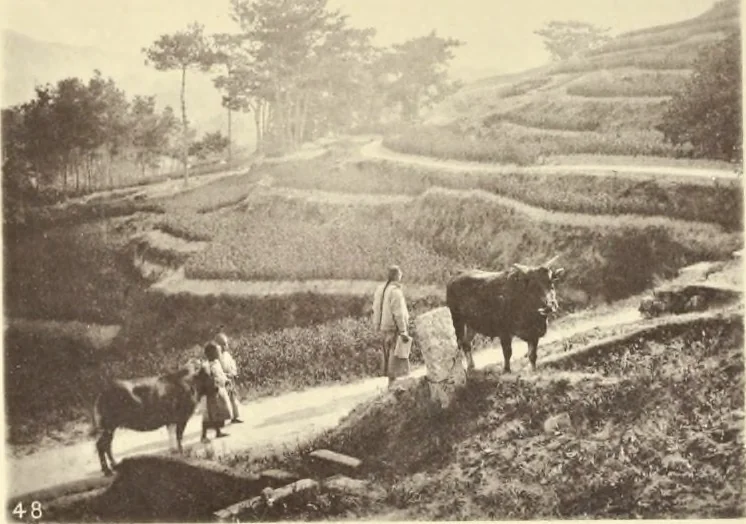 An illustration from Illustrations of China and its people : a series of two hundred photographs, with letterpress descriptive of the places and people represented., 1873, leaf 114