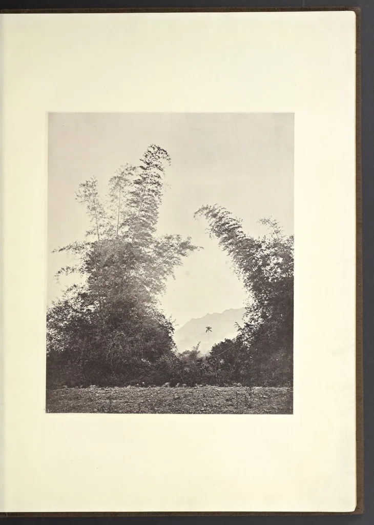 An illustration from Illustrations of China and its people : a series of two hundred photographs, with letterpress descriptive of the places and people represented., 1873, leaf 12
