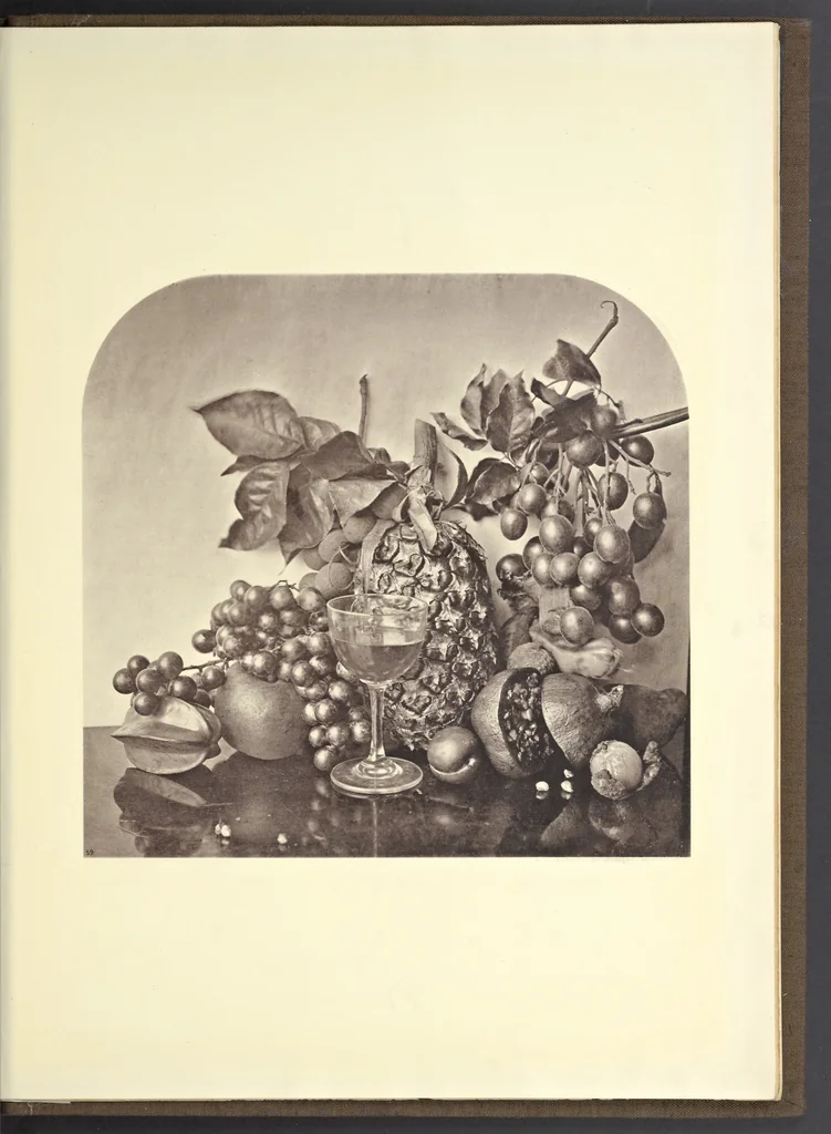 An illustration from Illustrations of China and its people : a series of two hundred photographs, with letterpress descriptive of the places and people represented., 1873, leaf 132
