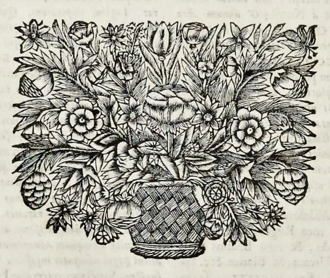 An illustration from Ex tomo septimo Danielis Papebrochii S.I. De actis sanctorum Maii die trigesima, 1688, leaf 21