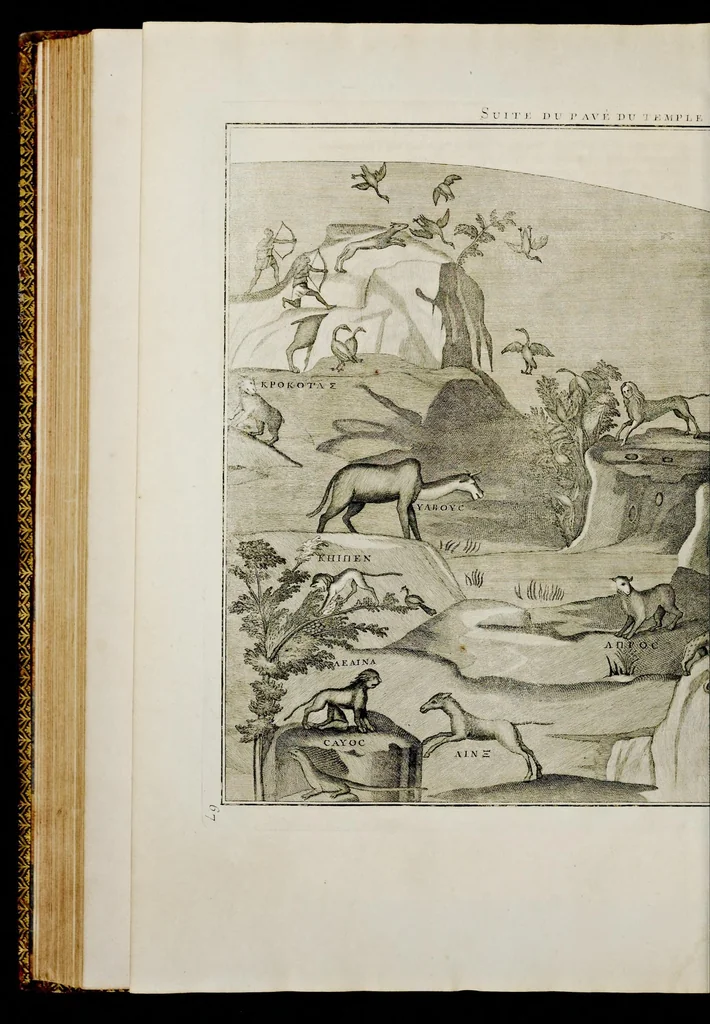 An illustration from Supplément au livre de l'antiquitée expliquée et représentée en figures, 1757, leaf 371