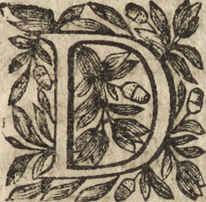 An illustration from Le commentaire royal, ou, L'histoire des Yncas, roys du Peru : contenant leur origine, depuis le premier Ynca Manco Capac, leur establissement, leur idolatrie, leurs sacrifices, leurs vies, leurs loix, leur gouuernement en paix & en guerre ... : ensemble vne descriptton particuliere des animaux, des fruicts, des mineraux, des plantes, & des singularitez du païs : oeuure curieuse, & tout à faict necessaire à l'intelligence de l'Histoire des Indes, 1633, leaf 116